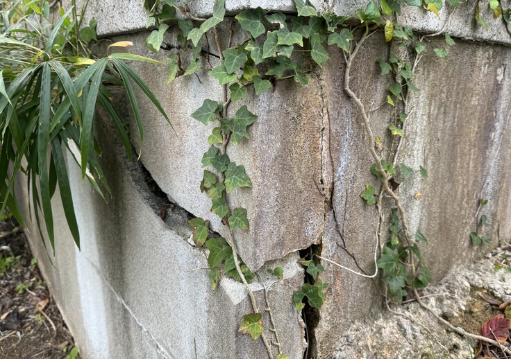 孔子廟　欄干基礎部分