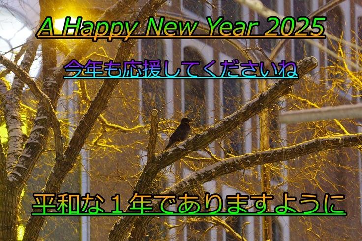 batch_IMGP22941231 (52).JPG