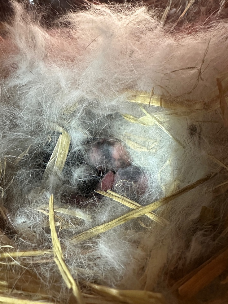 2024年11月3日の朝