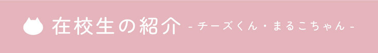 在校生の紹介-チーズくん・まるこちゃん-