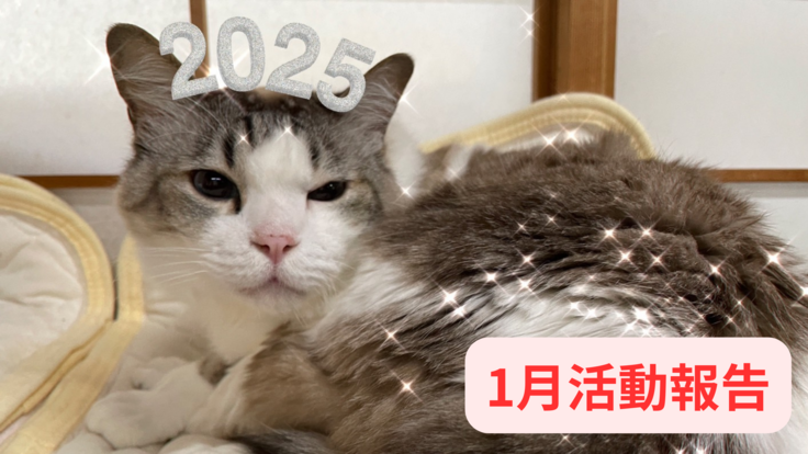 1月活動報告.png