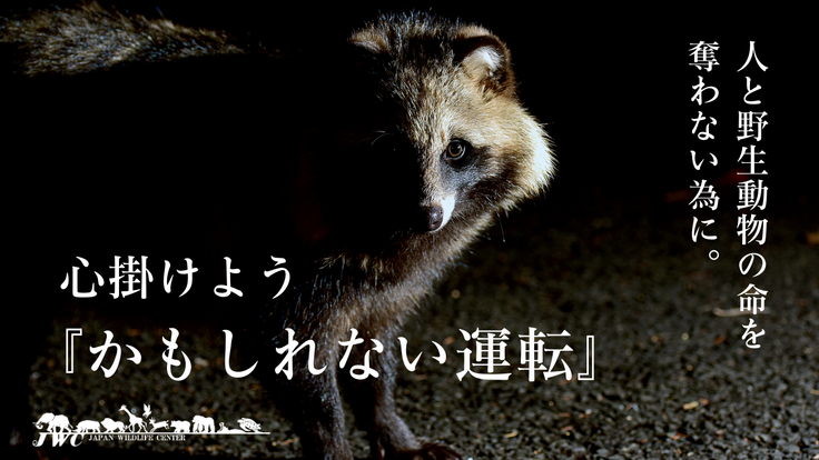 人と野生動物の命を 守る為に。.png