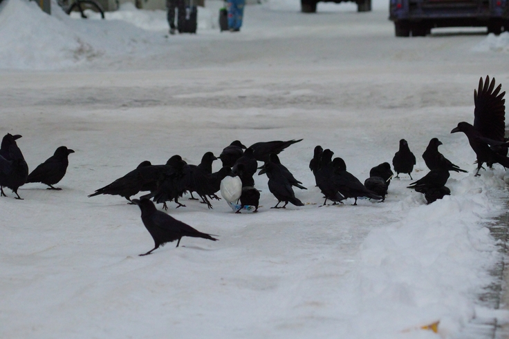 batch_IMGP69210203 (655).JPG