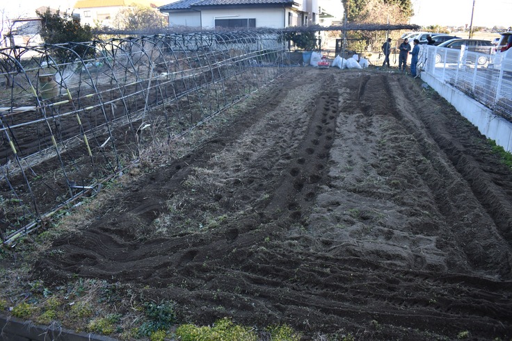 📷️病院隣の住民さんの畑をきれいに!