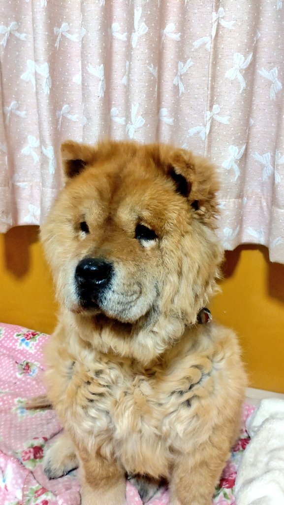 2025-02-14 有栖 (1).jpg