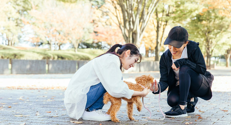 友人との公園での会話