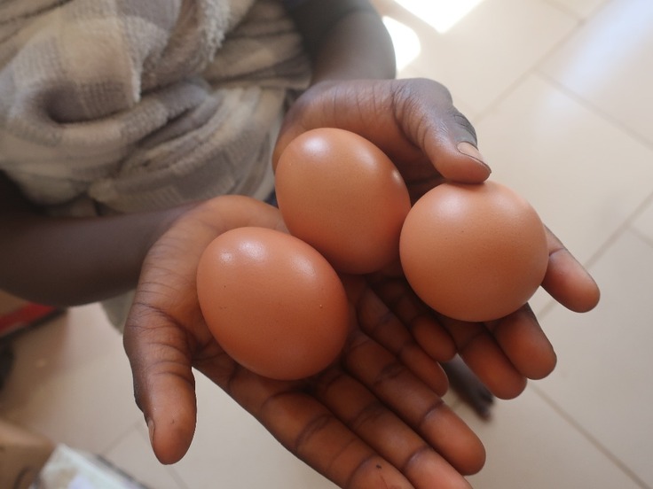 WhatsApp画像 2025-02-21 14.17.59_8537148d.jpg