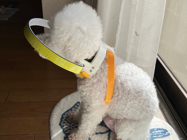 修理した新品同様になったドッグバンパー