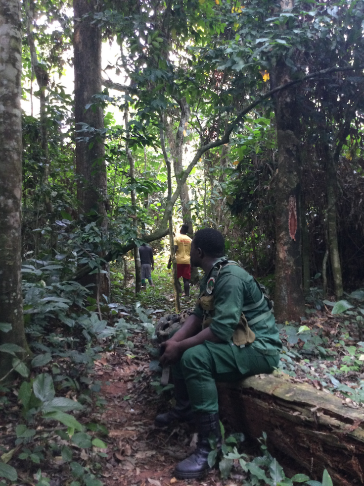 プチ・サバンナに向かう遊歩道で一休み