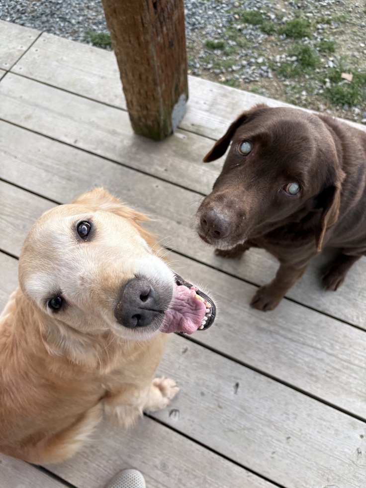 ジュン君とエマちゃん