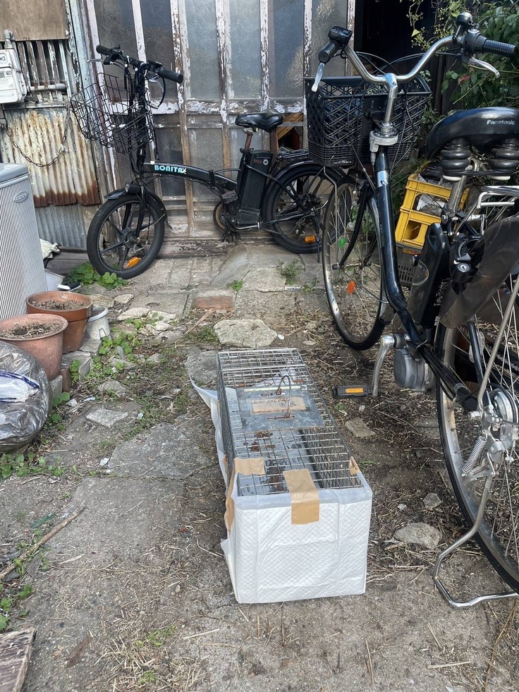 捕獲器を設置したところ