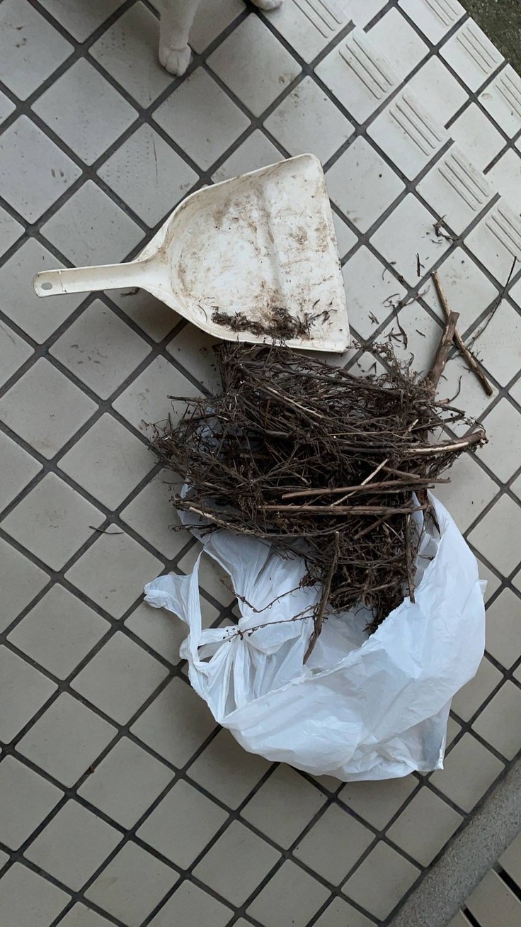 謎のゴミを発見