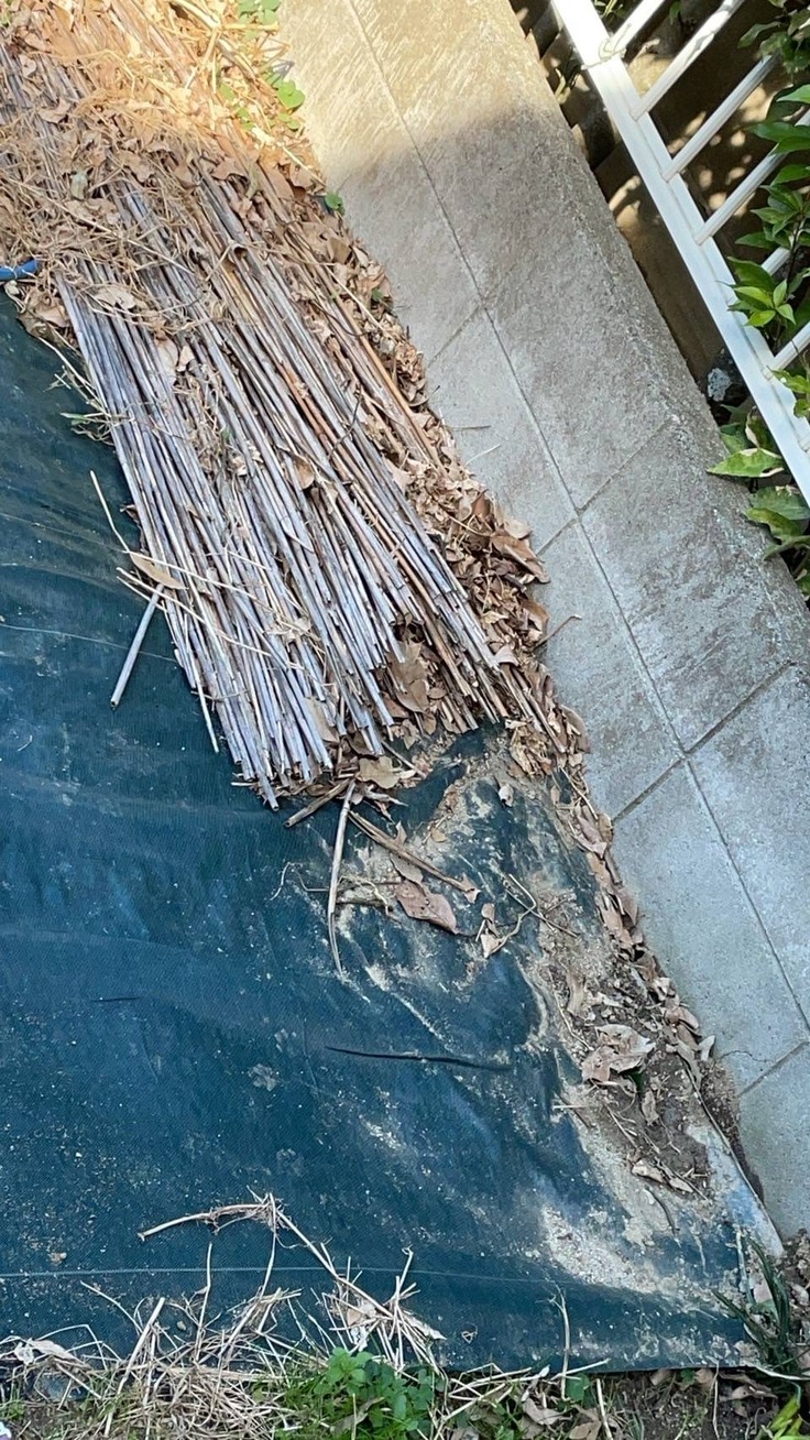 撒き散らされた白っぽいなにか