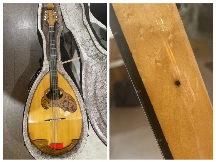 マンドロンセロ(クラシコA)/虫食い箇所