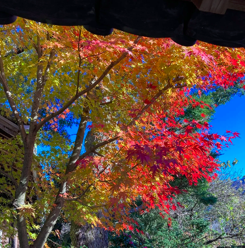 スクリーンショット 2025-03-11 10.03.59.png