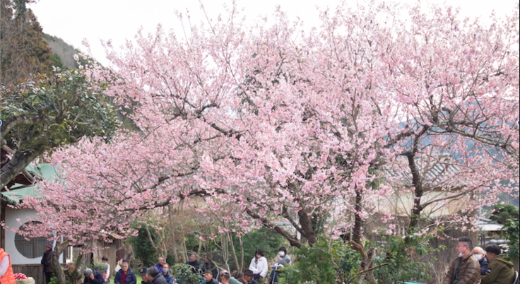 スクリーンショット 2025-03-11 11.15.40.png