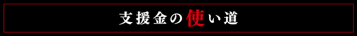 支援金の使い道