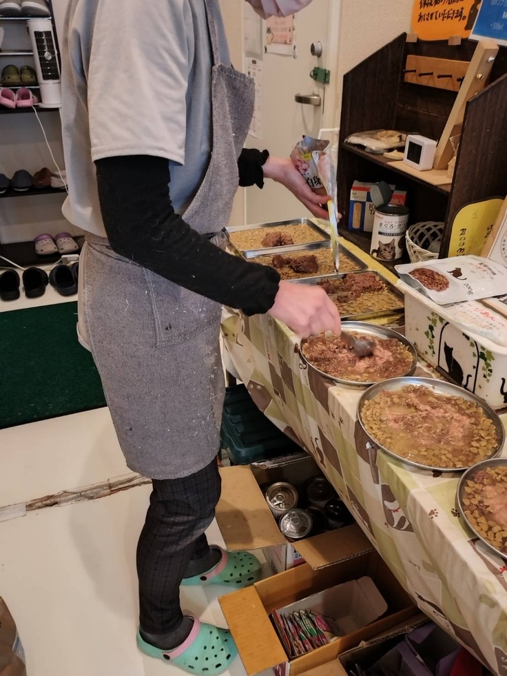 スタッフがご飯を作っている様子