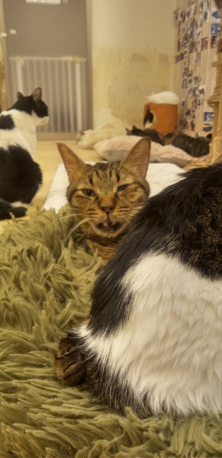 お口の形が特徴的な諭吉くん