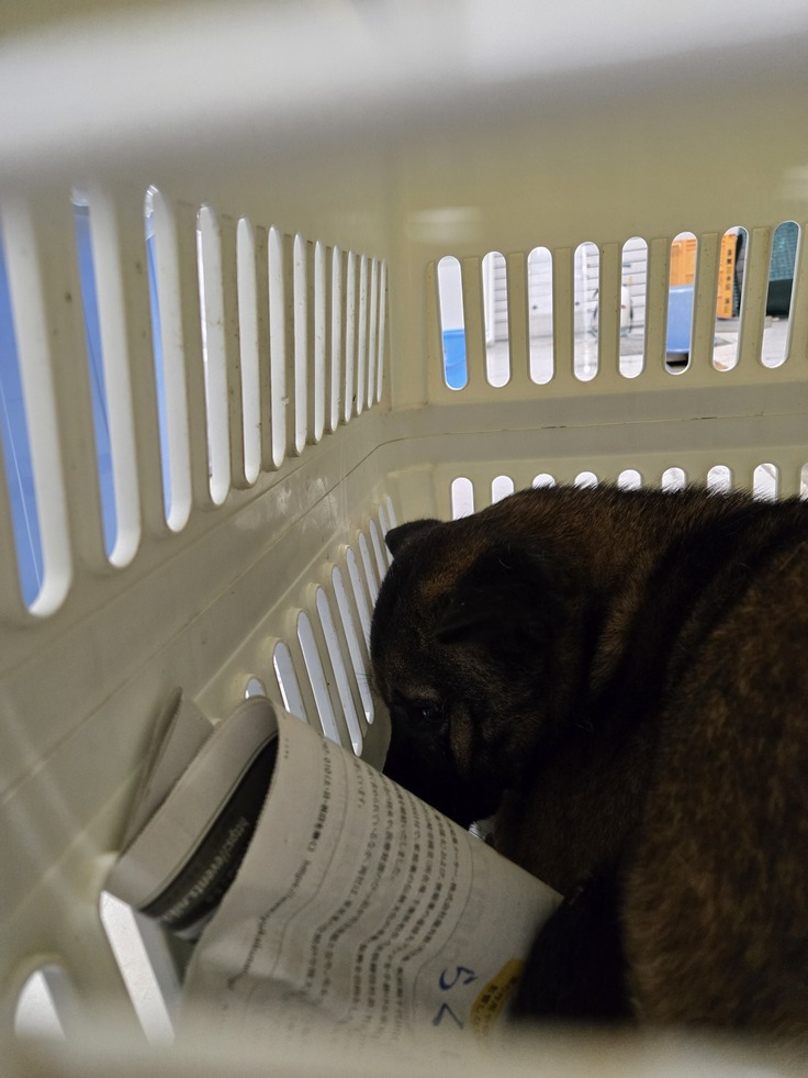 周南健康福祉センターより