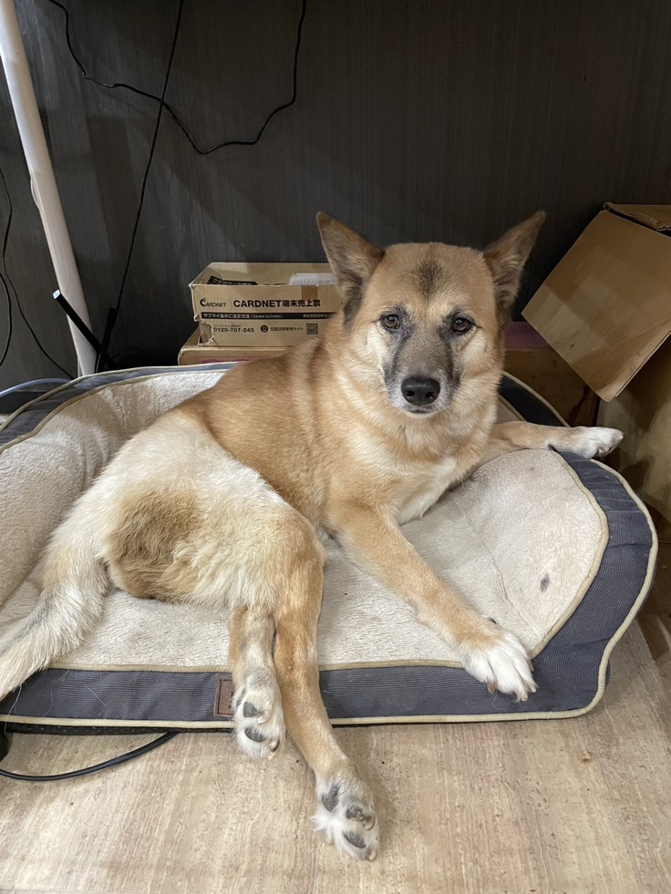 りあんの壁際が定位置ないろは