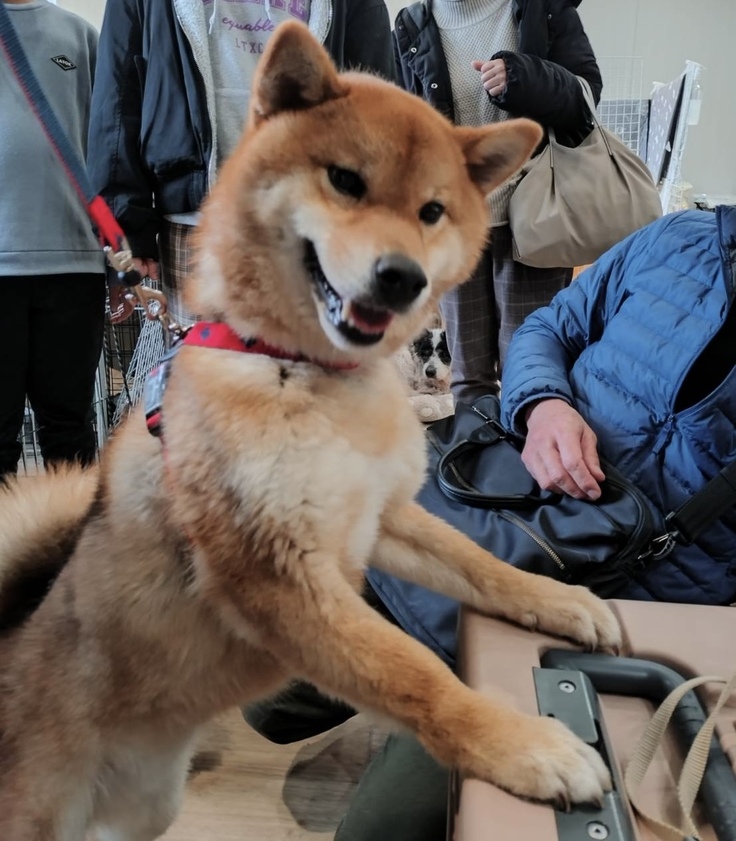 里親さんたちが来てくれて嬉しいお顔の牙狼