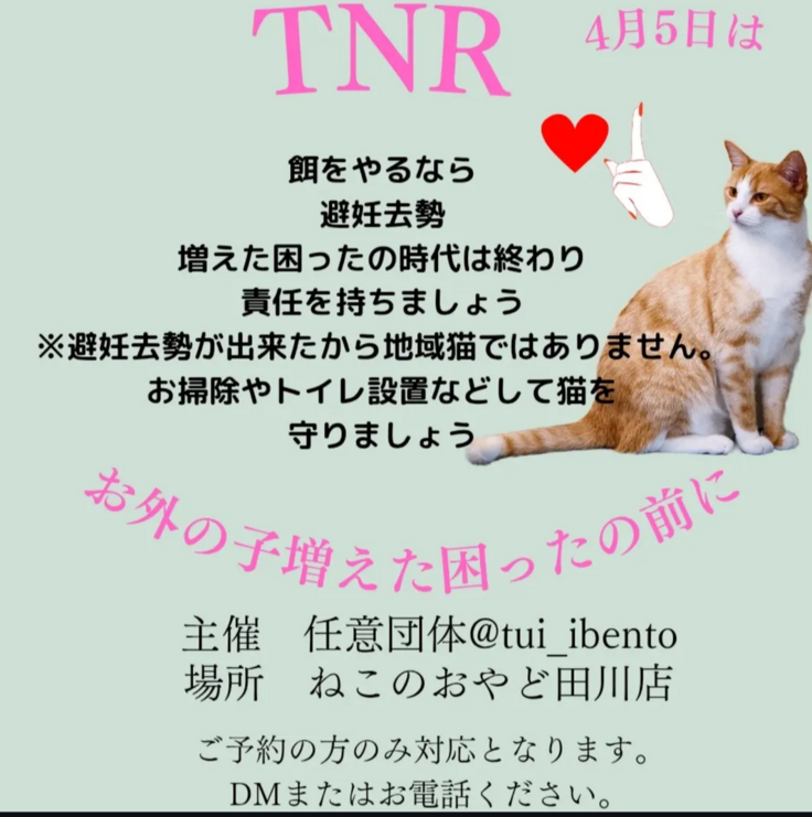 月に1度のTNR