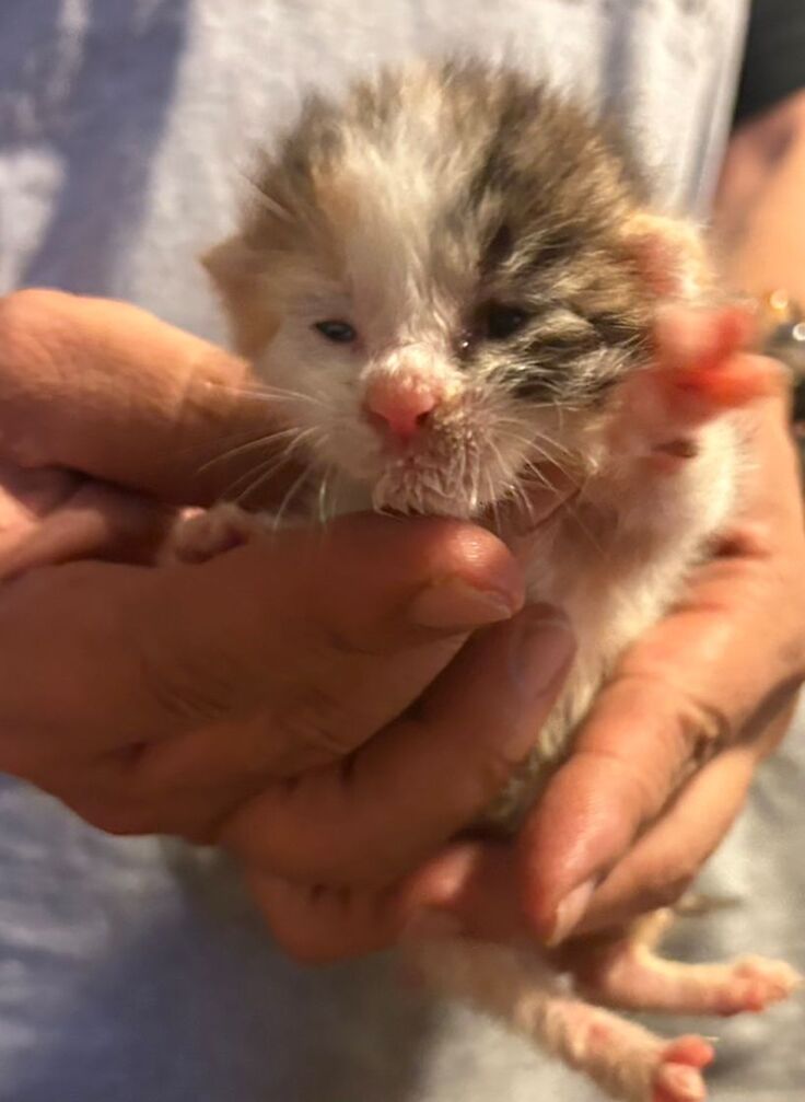 目が開いたよ！