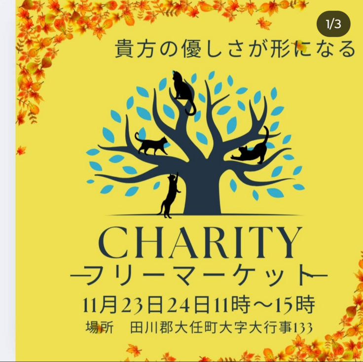 助成金が無理ならば