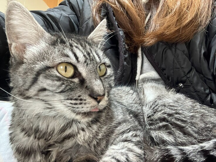 エイズキャリアのミヤ