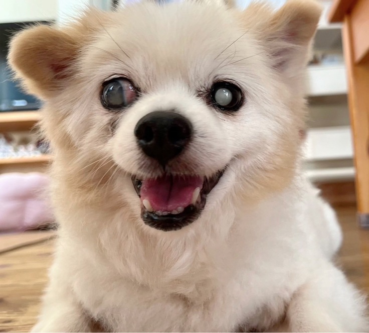 にっこりゆうゆうちゃん