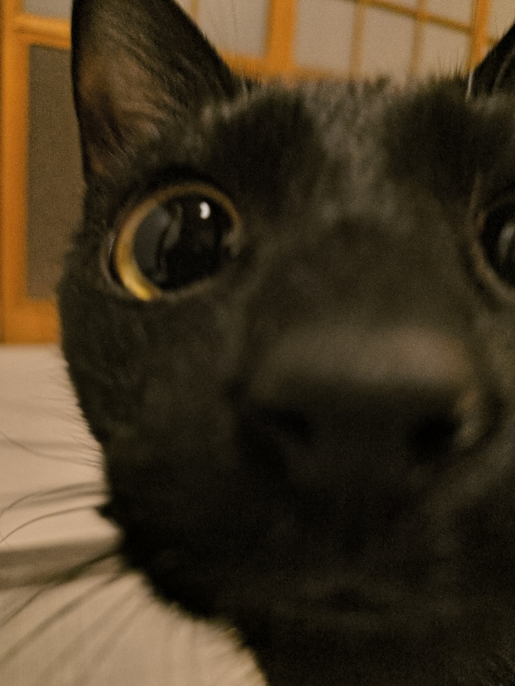 甘えん坊過ぎて近すぎ