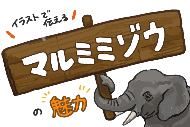 マルミミゾウの魅力