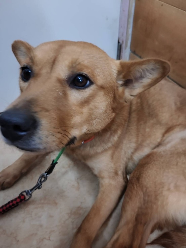 可愛いステラ♡