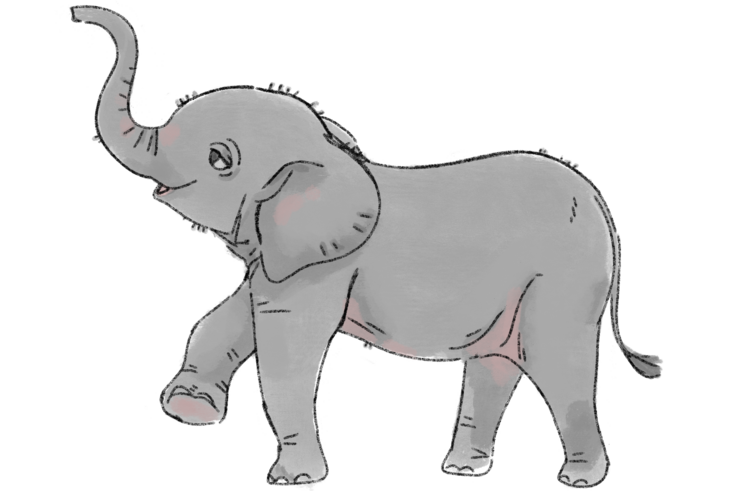 マルミミゾウの赤ちゃん