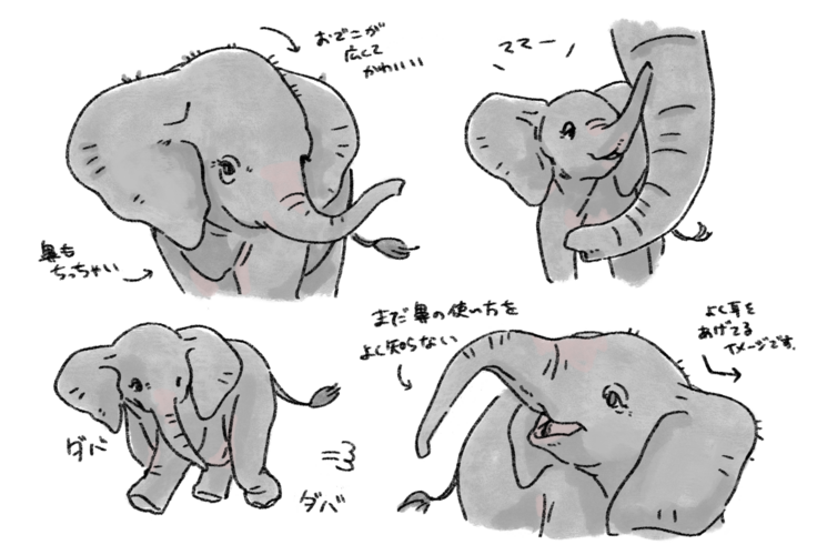 マルミミゾウの子ども