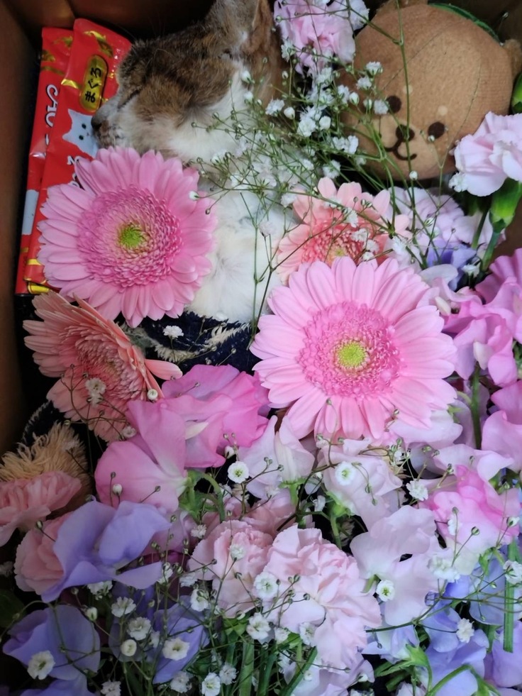 おハゲちゃん、ありがとう