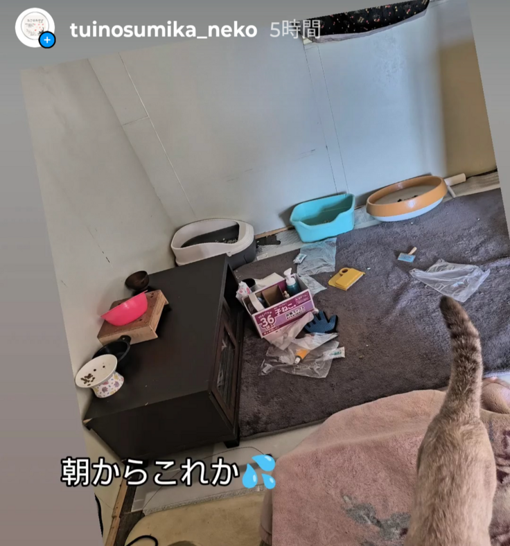 あるあるの光景