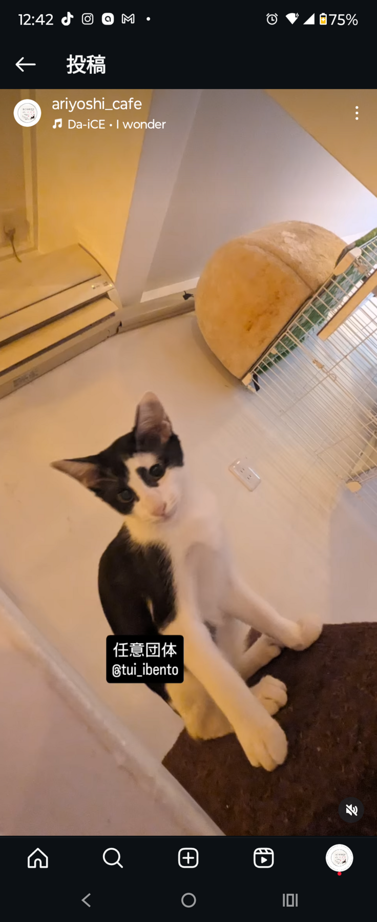 高齢者の家にて繁殖