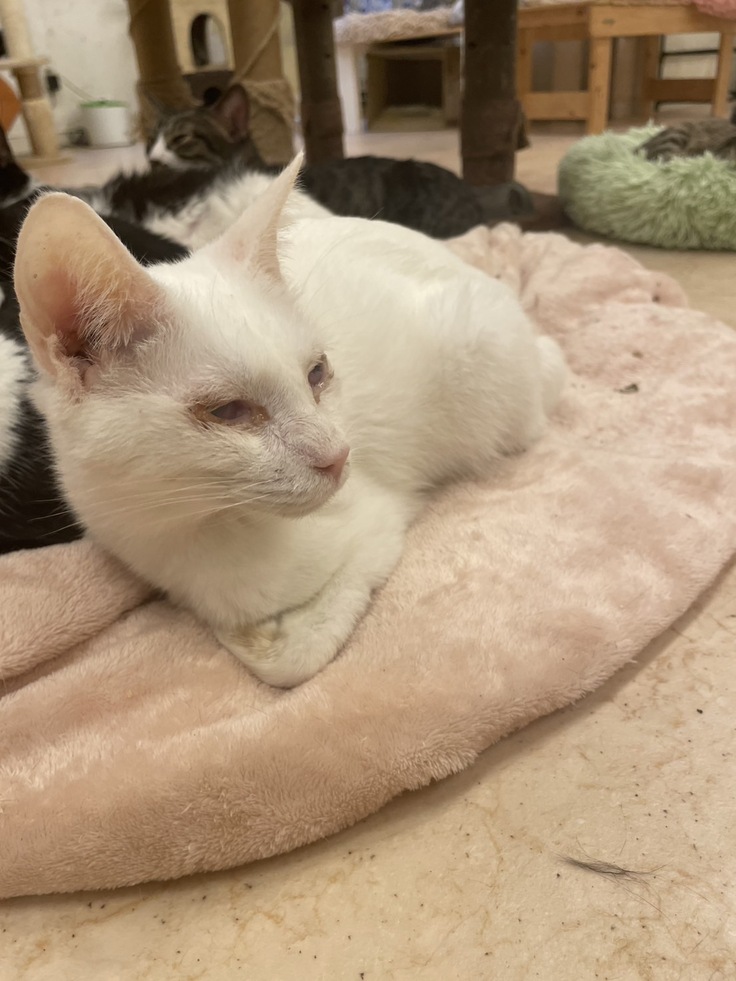 元気になったマロ。