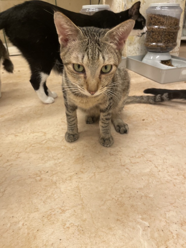 元気になったほその写真。