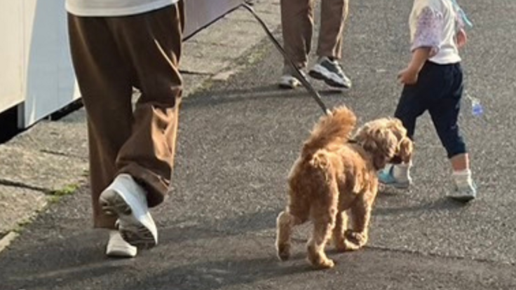 おみその写真。