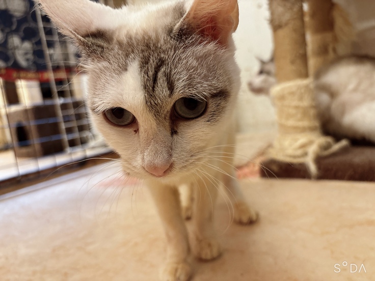 女の子 2歳 の写真