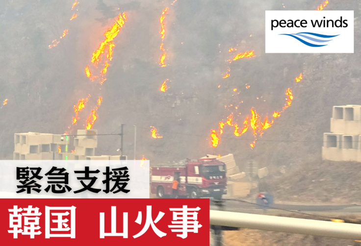 韓国山火事1.png