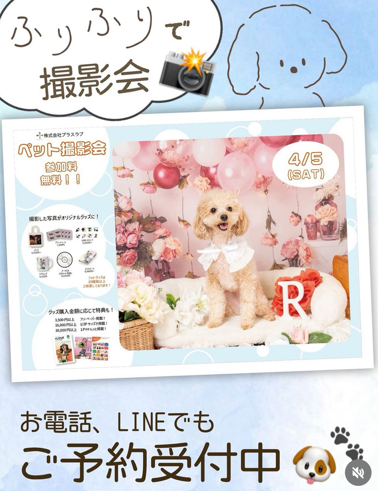 ふりふり紹介写真