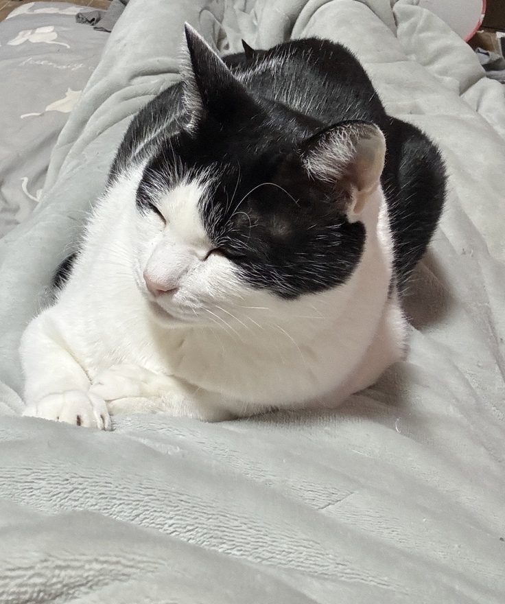 背中タマちゃん