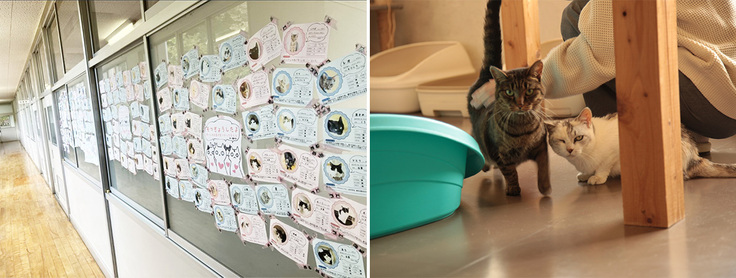 ティアハイム小学校のようす