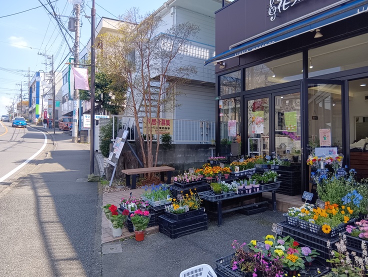 設置したベンチ