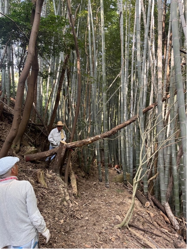 倒木等撤去の様子2