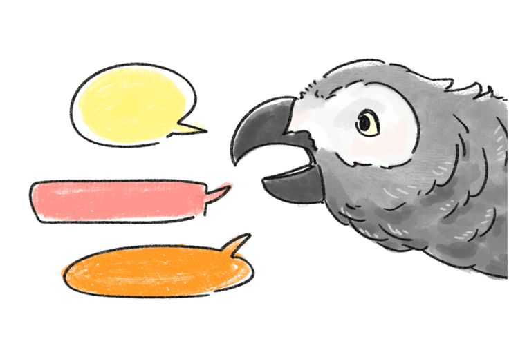 しゃべるヨウム